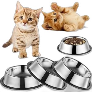 Pet Bowl