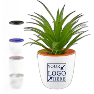 Eco Friendly Mini Plastic Plant Pot