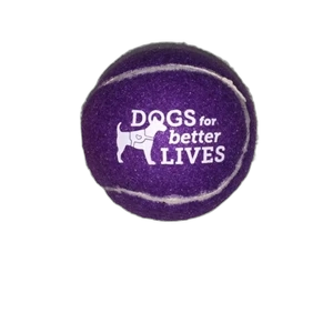 Pet Training Fetch Ball